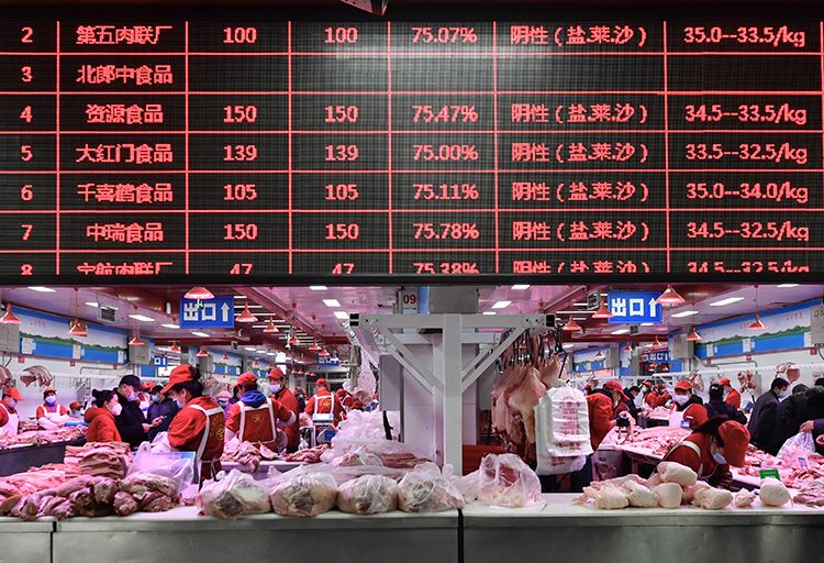 石家庄猪肉最新行情报告