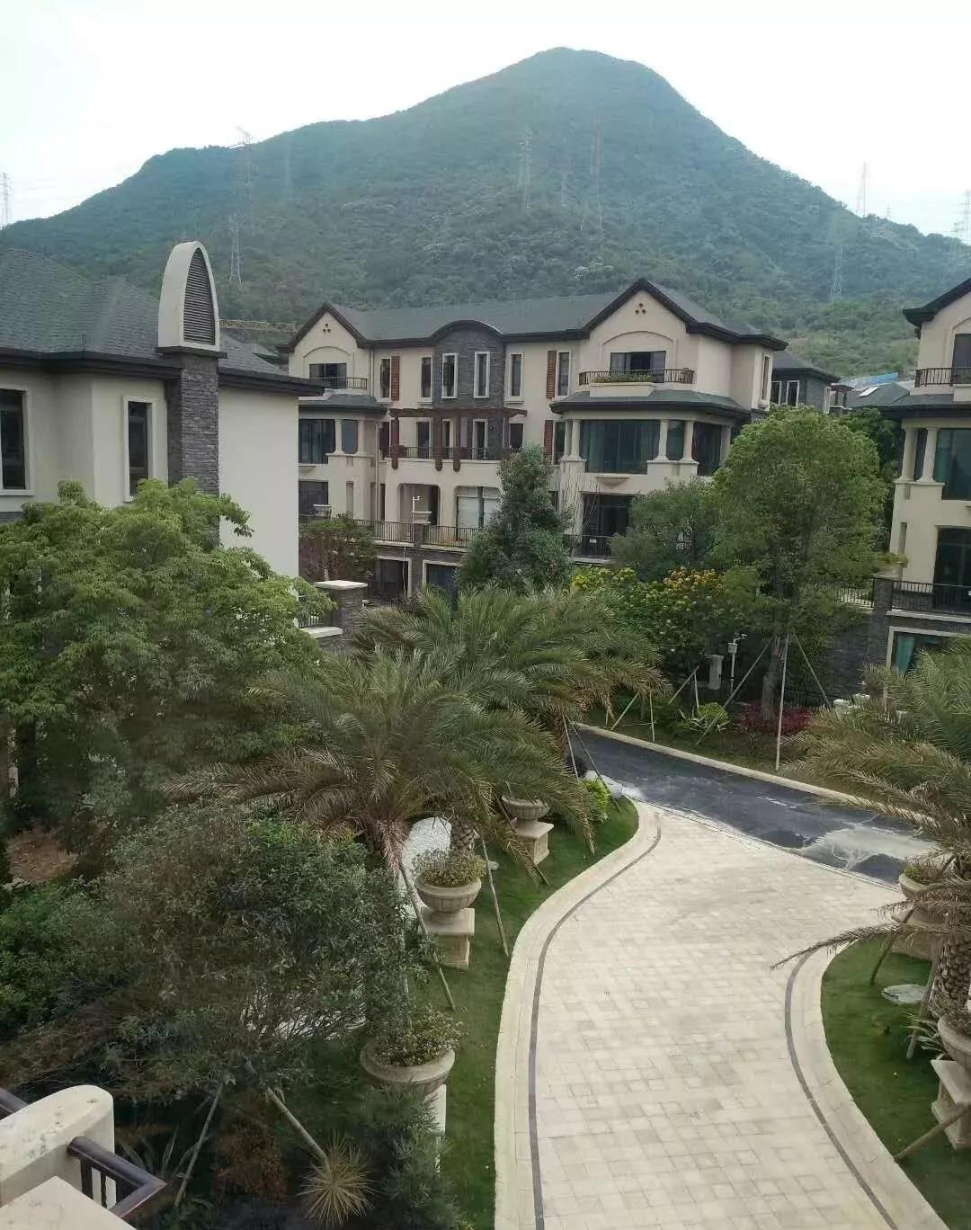 BT工厂最新地址详解，步骤指南