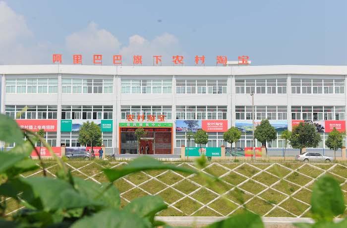 最新淘宝网，商业巨头的崛起与深远影响