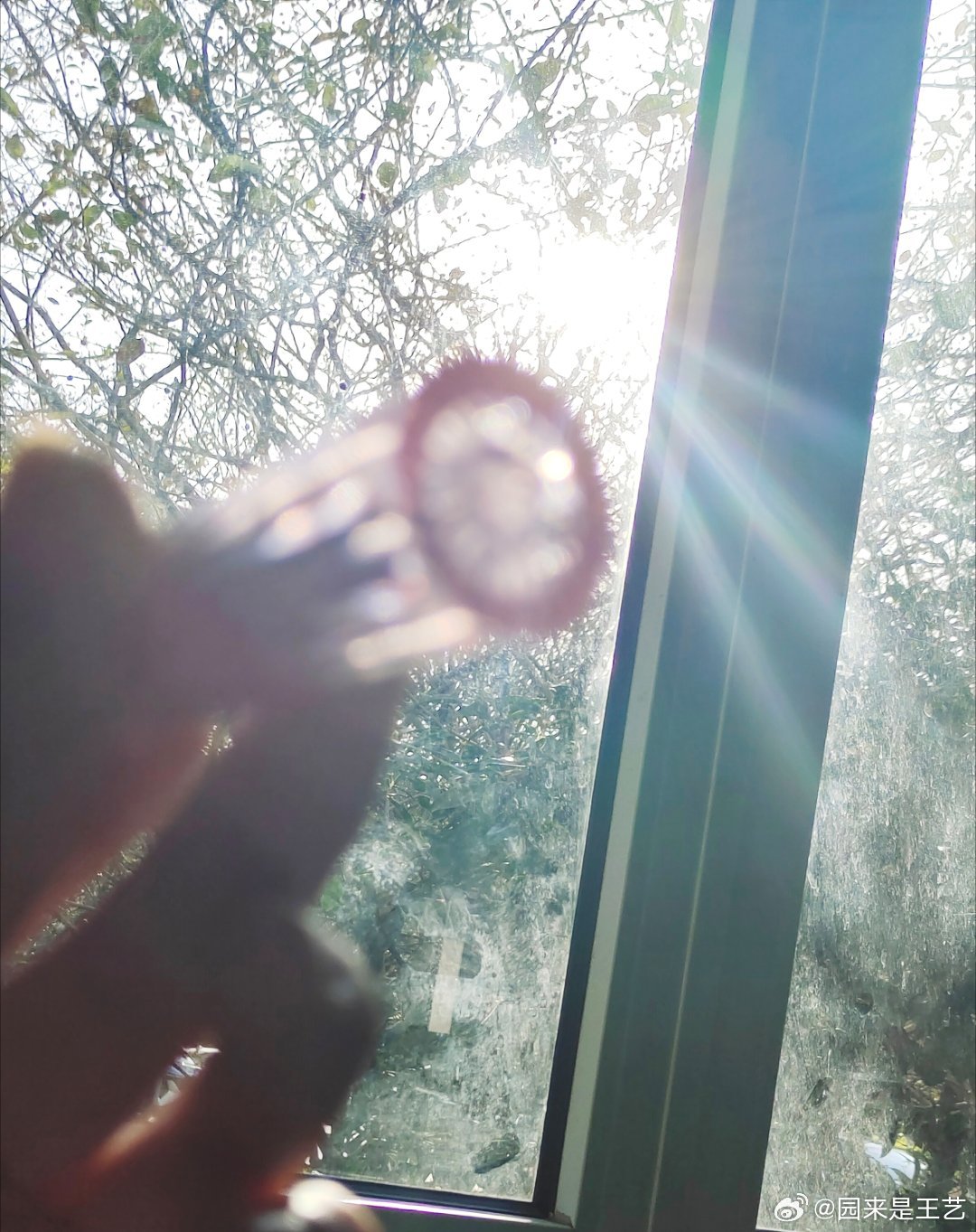 阳光下的日常趣事，拍摄指南最新章节全解析