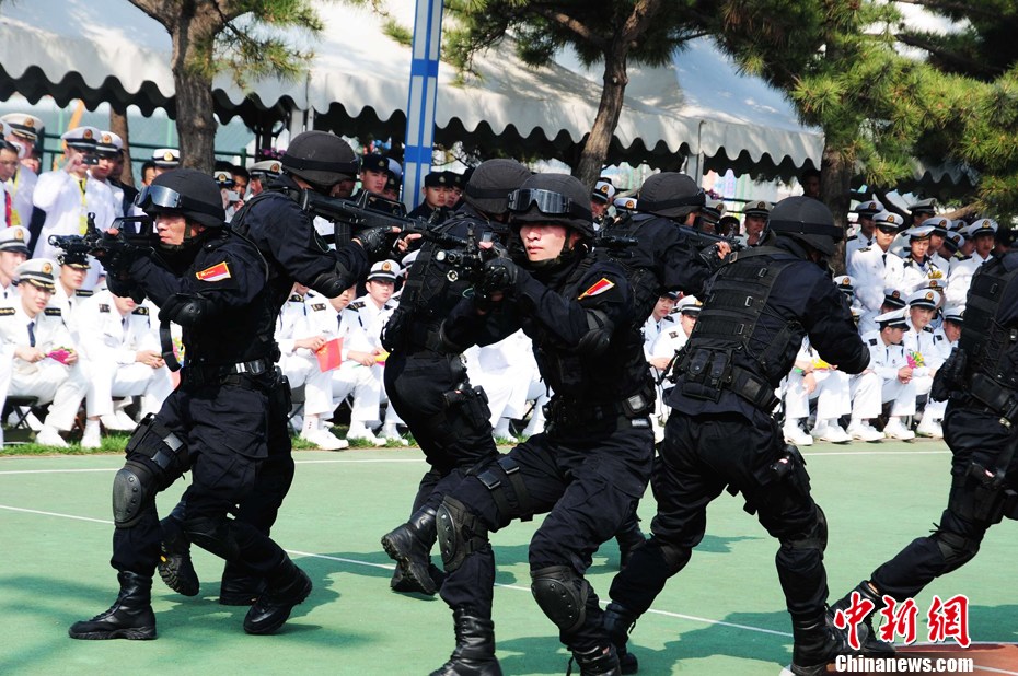 最新军事观察室，日常趣事与友情纽带揭秘