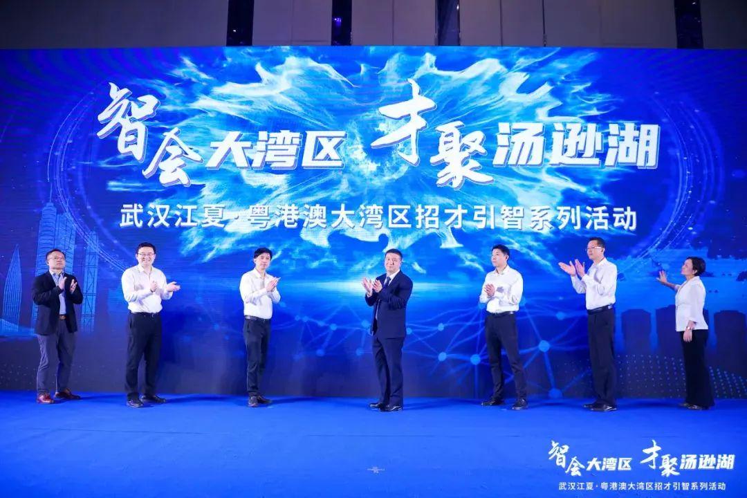 大湾区最新动态概览