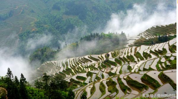 禾中集团最新动态，自然美景探索之旅的心灵宁静之旅