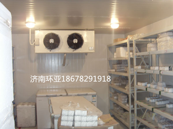 冷库设计规范最新版，构建高效冷链的核心要素与关键标准