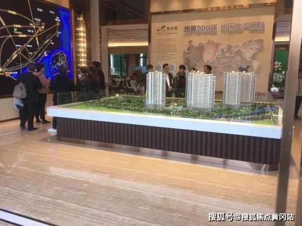 深度解析与观点阐述，最新薅羊毛活动详解
