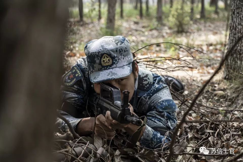 定向士官最新动态更新，最新定向士官消息