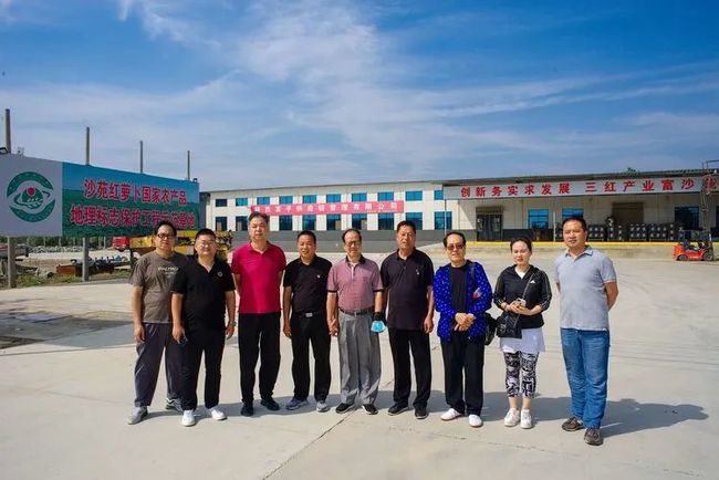 大荔最新事件报道，当地最新动态速递