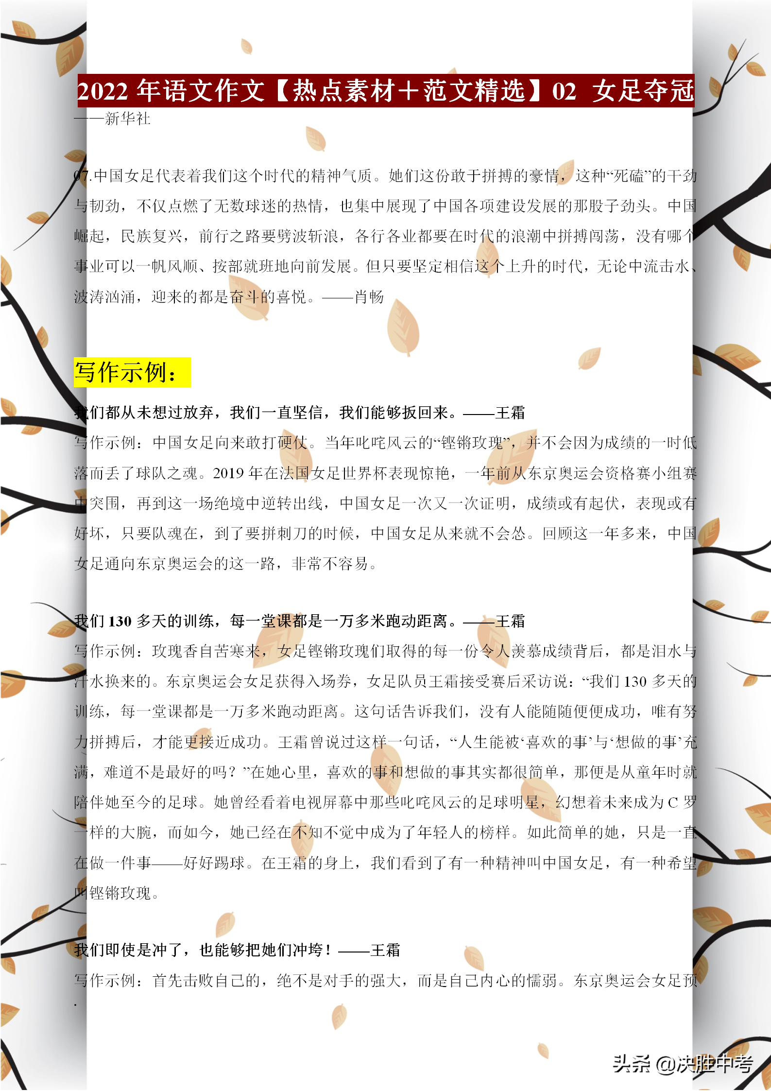 时代背景下的语文作文素材探析，最新素材大揭秘！
