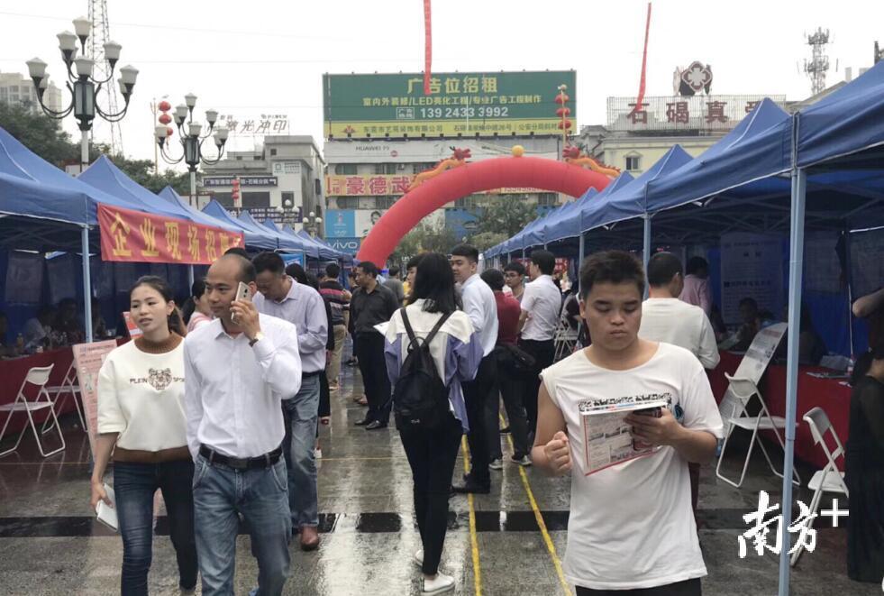 高埗最新招聘信息全面概览