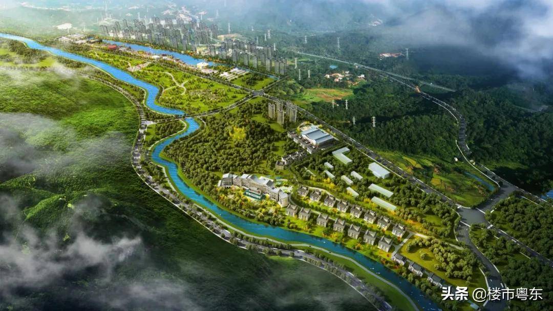 八卦洲新动态，变化中的学习之旅，孕育自信与成就感的源泉