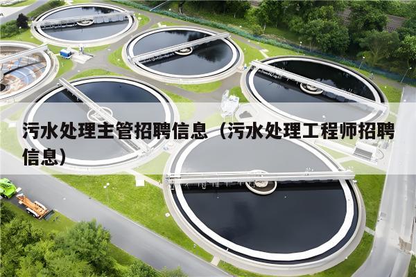 污水处理招聘最新动态，小巷中的绿色奇迹探索之旅