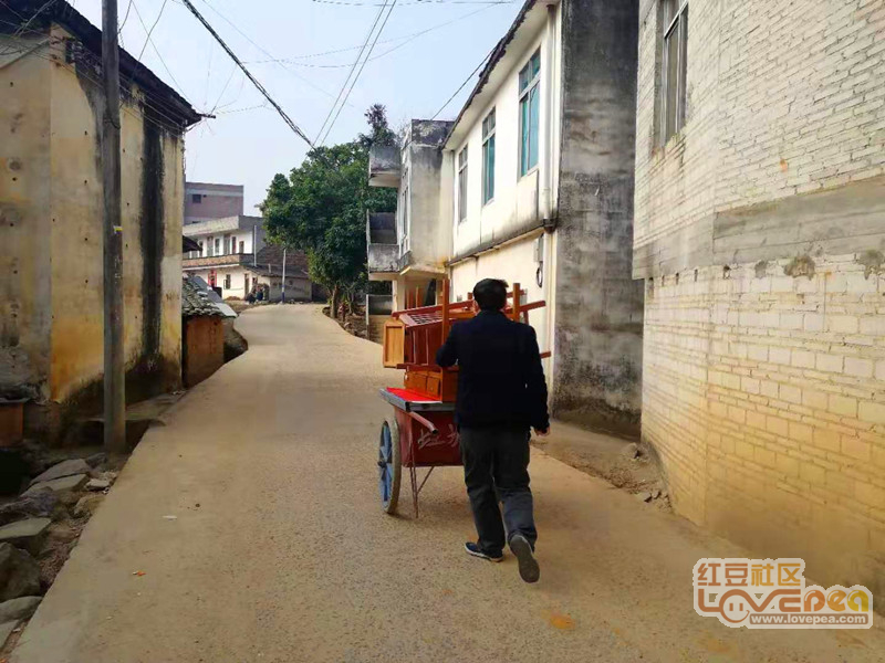 河北疫情最新动态与小巷深处的独特风味探秘