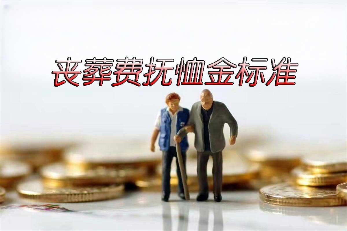 最新抚恤金发放标准，科技重塑关爱，温暖生活每一刻