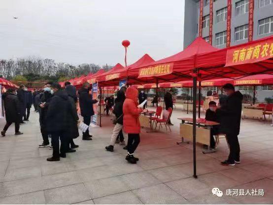 唐河县最新招聘信息，职场与友情的交织故事