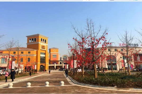宁阳贴吧最新消息，小镇日常趣事与情感纽带