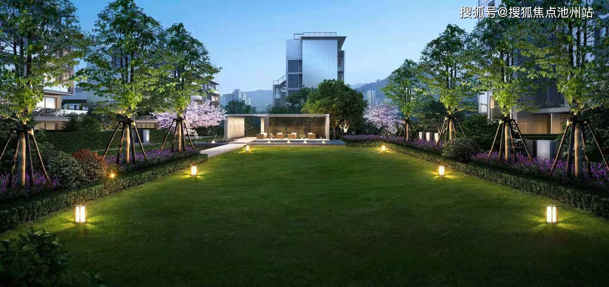 LPG最新价格与友情之旅的探秘