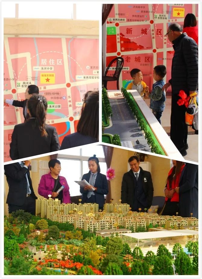 莱西最新司机招聘，共赴自然美景，启程寻找内心平静之旅