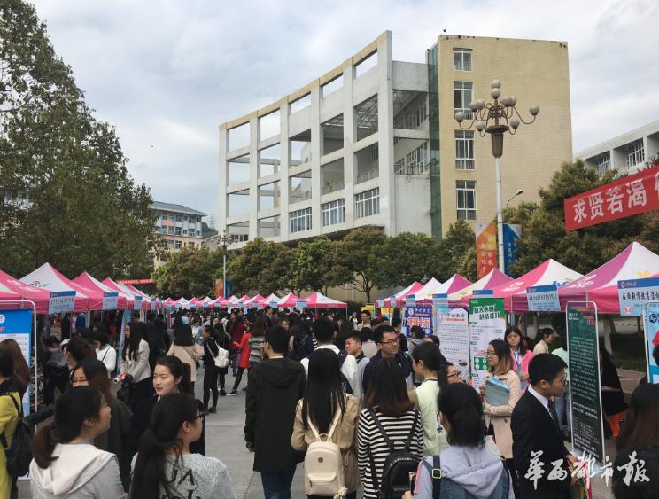 西华县最新招聘信息全揭秘🔍🚀