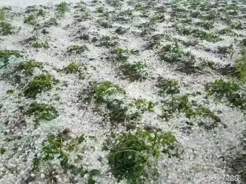 甘肃冰雹下的美食探秘，独特小巷与最新消息