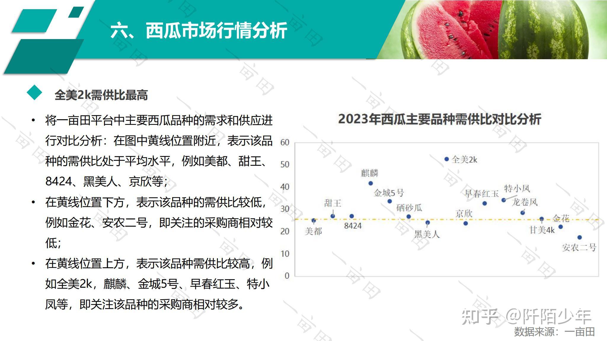 全国西瓜最新行情详解与趋势分析，实用指南获取及分析西瓜市场趋势的方法