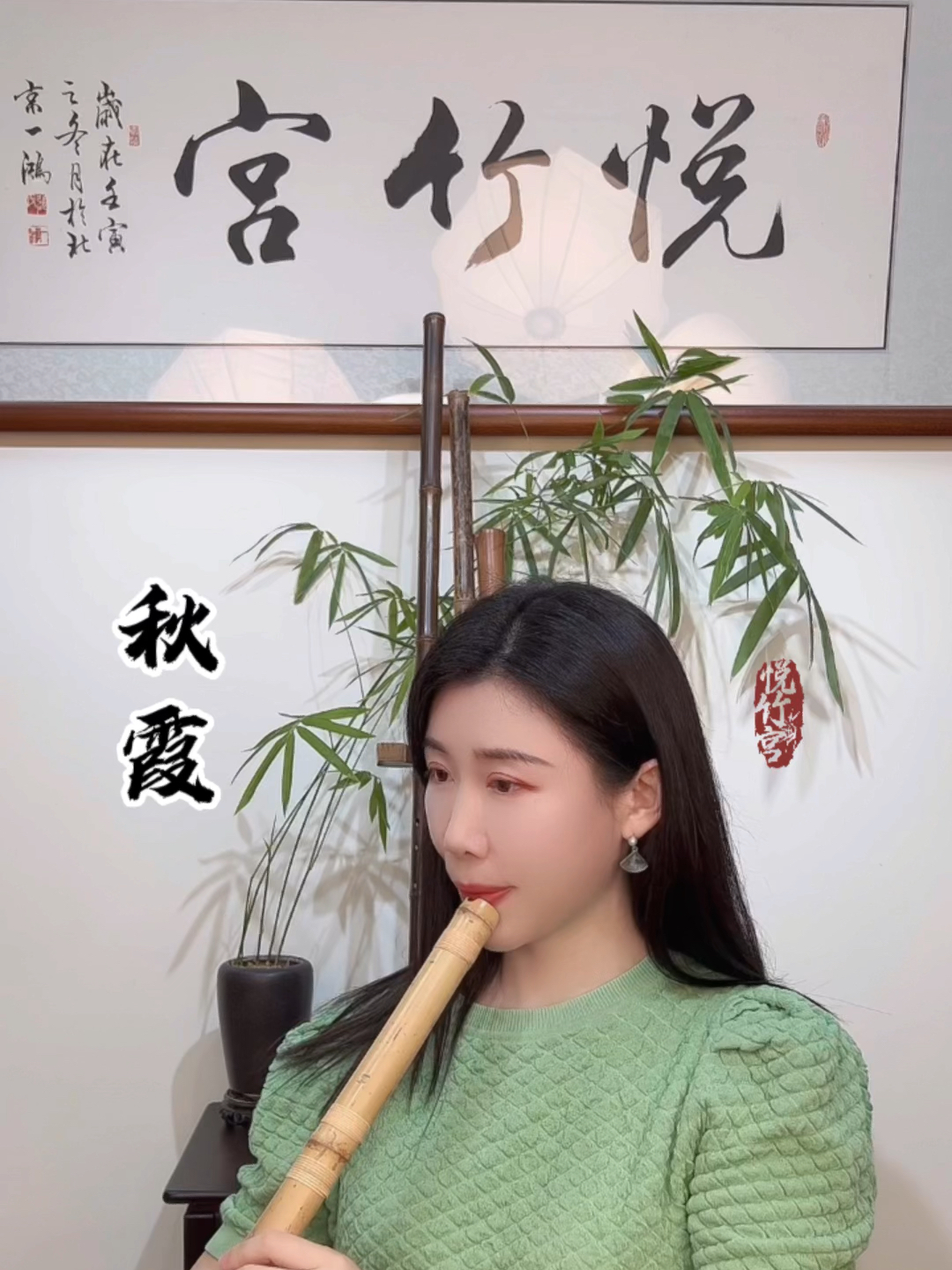 秋霞最新网，探索魅力与最新动态