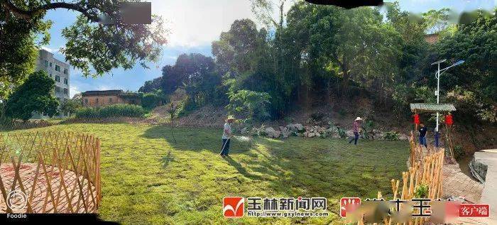 博白县官超最新动态，小巷独特风味探秘