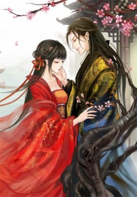 君天澜沈妙言，深情缠绵的传奇故事最新章节更新
